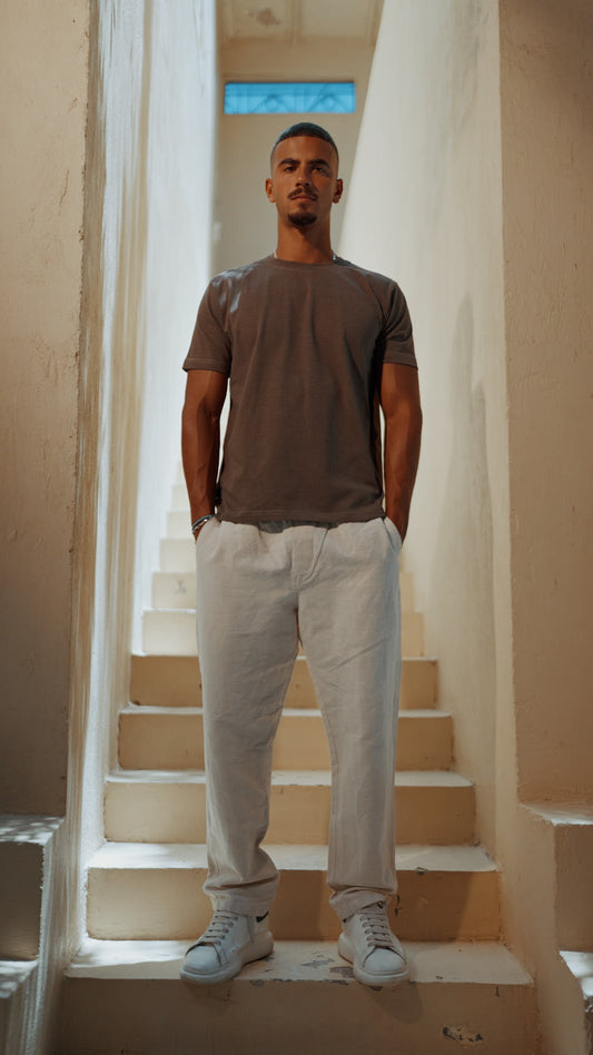 Brown Regular Fit Tshirt